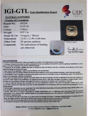 9.97/CT Natural Ceylonese Pukhraj with Govt Lab Certificate-YELSA9S